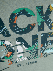 Jack & Jones Sweatshirts Mini -Iceberg Green - 12279607