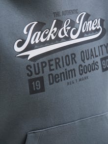 Jack & Jones Sudadera con capucha Junior -Stormy Weather - 12279744
