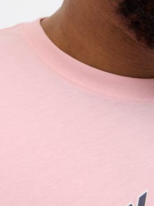 Jack & Jones Plus Size T-shirt -Tickled Pink - 12282128