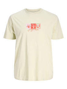 Jack & Jones Plus Size T-shirt -Celadon Tint - 12282184