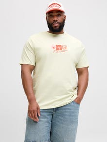 Jack & Jones Plus Size T-shirt -Celadon Tint - 12282184