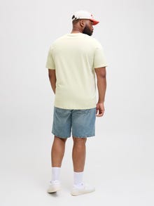 Jack & Jones Plus Size T-shirt -Celadon Tint - 12282184