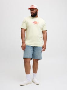 Jack & Jones Plus Size T-shirt -Celadon Tint - 12282184