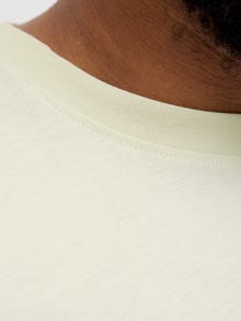 Jack & Jones Plus Size T-shirt -Celadon Tint - 12282184