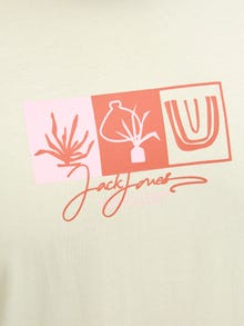 Jack & Jones Plus Size T-shirt -Celadon Tint - 12282184