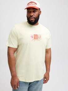 Jack & Jones Plus Size T-shirt -Celadon Tint - 12282184