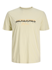 Jack & Jones Plus Size T-shirts -Celadon Tint - 12282185