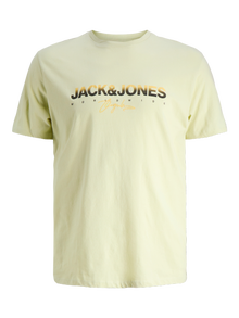 Jack & Jones Plus Size T-shirt -Celadon Tint - 12282185