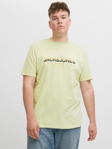 Jack & Jones Plus Size T-shirt -Celadon Tint - 12282185