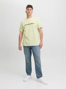 Jack & Jones Plus Size T-shirt -Celadon Tint - 12282185