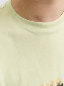 Jack & Jones Plus Size T-shirt -Celadon Tint - 12282185