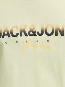 Jack & Jones Plus Size T-shirt -Celadon Tint - 12282185
