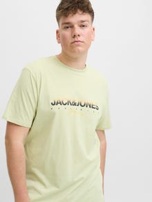Jack & Jones Plus Size T-shirt -Celadon Tint - 12282185