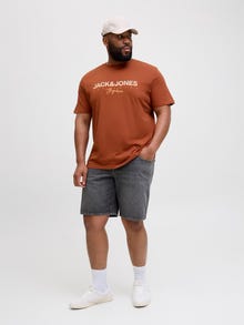 Jack & Jones Plus Size T-shirt -Arabian Spice - 12282185