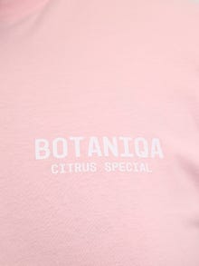 Jack & Jones Plus Size T-paita -Tickled Pink - 12282192