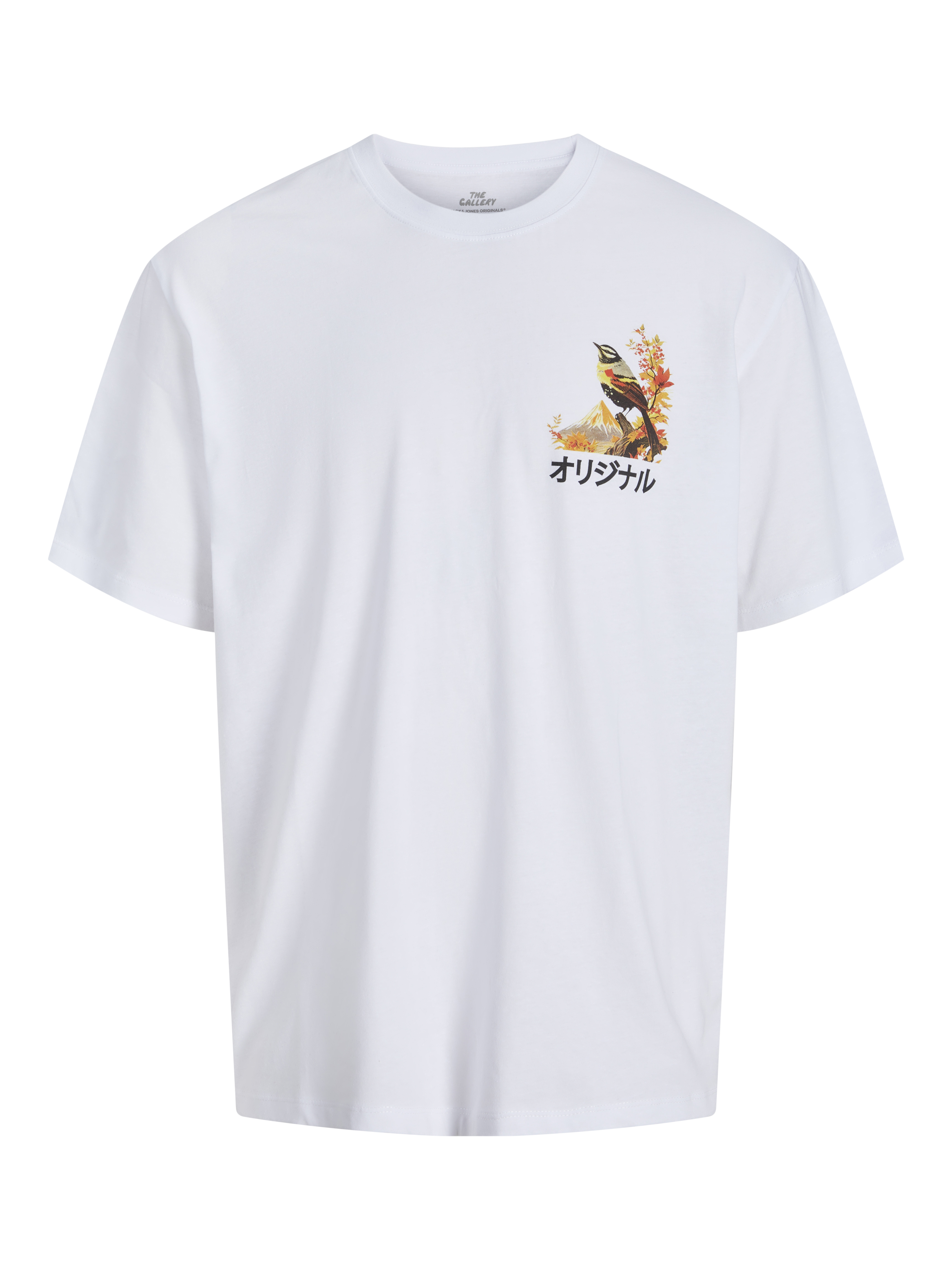 Plus Size T-shirt
