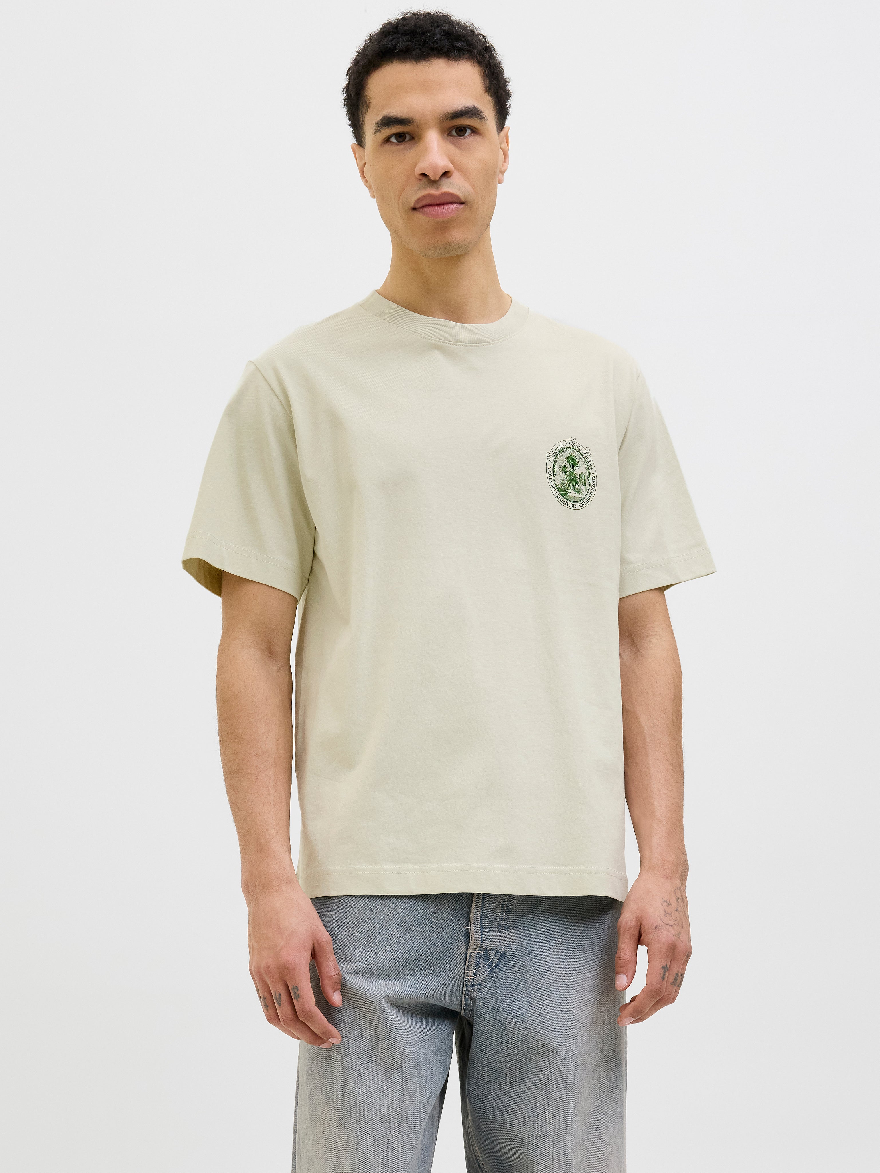 Jjcolton Tee SS Crew Neck, Iceberg Green, L