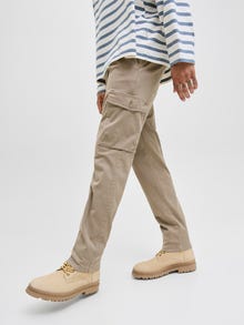 Jack & Jones Tapered Fit Karottenhosen -Brindle - 12282388