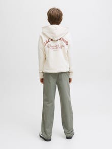 Jack & Jones Relaxed Fit Hosen Junior -Mulled Basil - 12282636