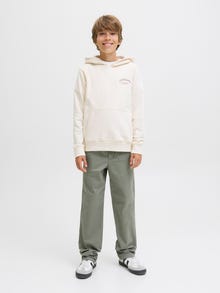 Jack & Jones Relaxed fit trousers Junior -Mulled Basil - 12282636