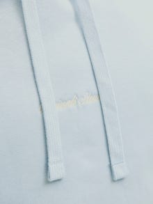 Jack & Jones Hoodie -Skyway - 12282861