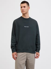 Jack & Jones Sweatshirt -Forest River - 12282893