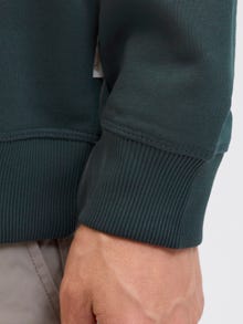 Jack & Jones Sweatshirt -Forest River - 12282893