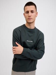 Jack & Jones Sweatshirt -Forest River - 12282893