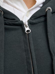 Jack & Jones Shop den Look - 2111205253