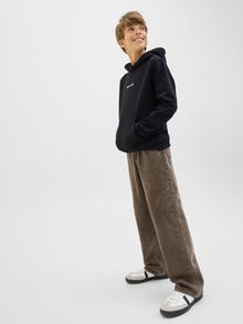 Jack & Jones Klasikinės kelnės Jaunimui -Crocodile - 12283409