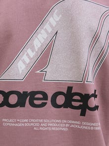 Jack & Jones Marškinėliai Jaunimui -Grape Shake - 12283982