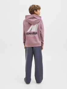 Jack & Jones Hoodie Junior -Grape Shake - 12283989