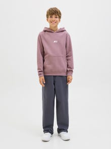Jack & Jones Hoodie Junior -Grape Shake - 12283989