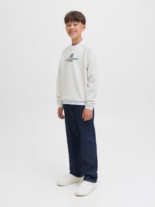 Jack & Jones Dukserice JUNIORE -White Melange - 12284002