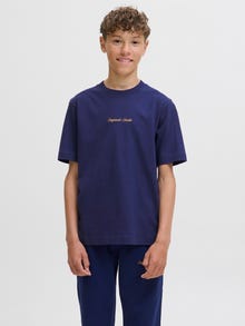 Jack & Jones Camiseta Junior -Ocean Cavern - 12284052