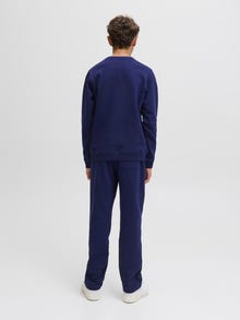 Jack & Jones Relaxed Fit Hosen Junior -Ocean Cavern - 12284054