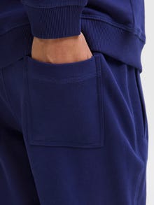 Jack & Jones Relaxed Fit Hosen Junior -Ocean Cavern - 12284054