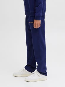 Jack & Jones Relaxed Fit Hosen Junior -Ocean Cavern - 12284054