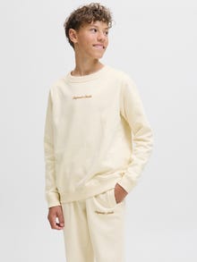 Jack & Jones Дуксерица ЈУНИОРЕ -Antique White - 12284064