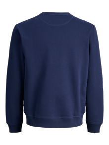 Jack & Jones Дуксерица ЈУНИОРЕ -Ocean Cavern - 12284064