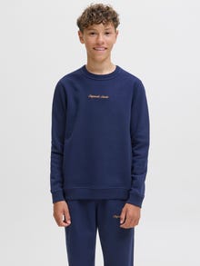 Jack & Jones Дуксерица ЈУНИОРЕ -Ocean Cavern - 12284064