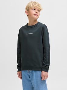 Jack & Jones Sweatshirt Junior -Forest River - 12284064