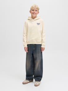 Jack & Jones Hoodie Junior -Antique White - 12284069