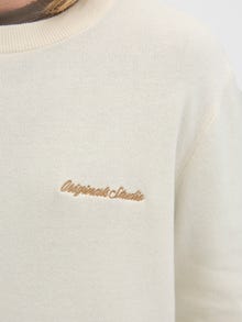 Jack & Jones Knitted pullover -Sea Salt - 12284844