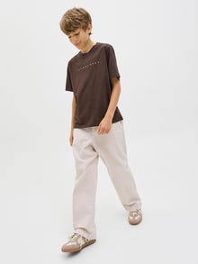 Jack & Jones Chinobroek Junior -Moonbeam - 12285028