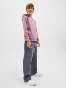 Jack & Jones Hlače chino Mladinci -Iron Gate - 12285028