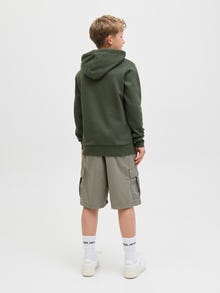 Jack & Jones Loose Fit Šortky Junior -Tea Leaf - 12285046