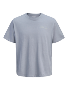 Jack & Jones Baktryck T-shirt -Tradewinds - 12285404