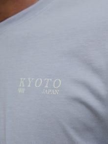 Jack & Jones Baktryck T-shirt -Tradewinds - 12285404