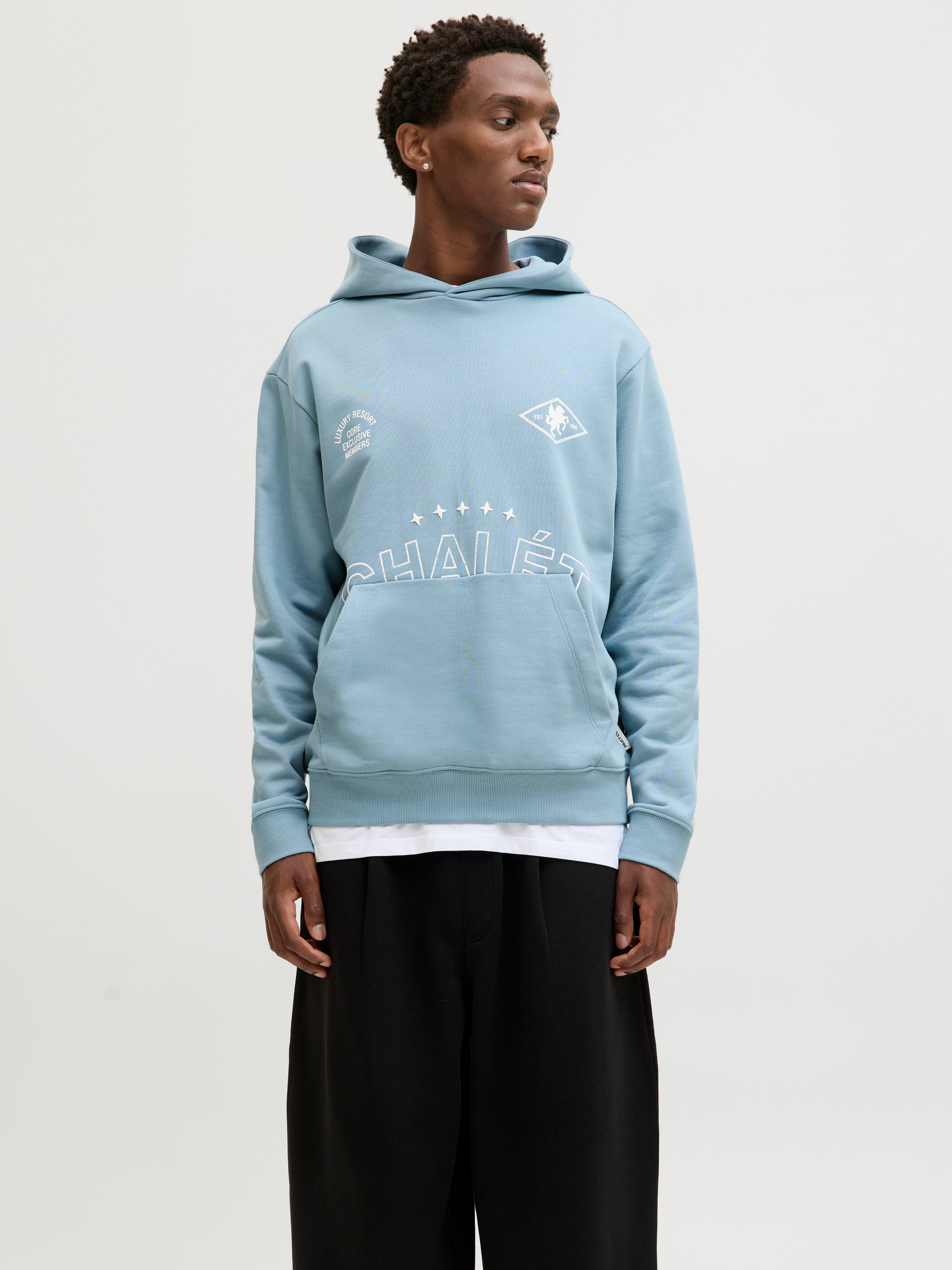 Jack & Jones JJWARRIOR HOOD - Sweat à capuche - light greymelange/gris Jack & Jones JJWARRIOR HOOD - Sweat à capuche - light greymelange/gris